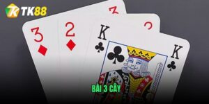 bai-3-cay